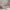 Bello Duo Husseng med Midterindgang i Limet Fyrretræ i Flere Farver fra Raw Kids i farven Pink – fra Unique Beds, Home & Living