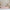 Bello Plus Husseng med Skuffe i Limet Fyrretræ i Flere Farver fra Raw Kids i farven Pink – fra Unique Beds, Home & Living