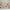 Bello Plus Husseng med Skuffe i Limet Fyrretræ i Flere Farver fra Raw Kids i farven Retro pink – fra Unique Beds, Home & Living
