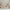 Bello Plus Husseng med Skuffe i Limet Fyrretræ i Flere Farver fra Raw Kids i farven Cashmere – fra Unique Beds, Home & Living