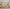 Bello Plus Husseng med Skuffe i Limet Fyrretræ i Flere Farver fra Raw Kids i farven Toffee – fra Unique Beds, Home & Living