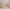 Bello Plus Husseng med Skuffe i Limet Fyrretræ i Flere Farver fra Raw Kids i farven Klar lak – fra Unique Beds, Home & Living