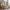 Bianco Duo Husseng med Midterindgang i Limet Fyrretræ i Flere Farver fra Raw Kids i farven Toffee – fra Unique Beds, Home & Living