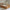 Boho Plus Børneseng med Rund Gavl og Skuffe i Limet Fyrretræ i Flere Farver fra Raw Kids i farven Toffee – fra Unique Beds, Home & Living