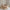 Boho Plus Børneseng med Rund Gavl og Skuffe i Limet Fyrretræ i Flere Farver fra Raw Kids – fra Unique Beds, Home & Living