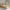 Boho Plus Børneseng med Rund Gavl og Skuffe i Limet Fyrretræ i Flere Farver fra Raw Kids i farven Klar lak – fra Unique Beds, Home & Living