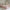 Boho Plus Børneseng med Rund Gavl og Skuffe i Limet Fyrretræ i Flere Farver fra Raw Kids i farven Pink – fra Unique Beds, Home & Living