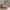 Boho Børneseng med Rund Gavl i Limet Fyrretræ i Flere Farver fra Raw Kids i farven Toffee – fra Unique Beds, Home & Living