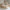 Boho Børneseng med Rund Gavl i Limet Fyrretræ i Flere Farver fra Raw Kids i farven Natur – fra Unique Beds, Home & Living