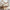 Classic Plus Husseng med Skuffe i Limet Fyrretræ i Flere Farver fra Raw Kids i farven Klar lak – fra Unique Beds, Home & Living