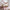 Classic Plus Husseng med Skuffe i Limet Fyrretræ i Flere Farver fra Raw Kids i farven Pink – fra Unique Beds, Home & Living