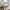Classic Plus Husseng med Skuffe i Limet Fyrretræ i Flere Farver fra Raw Kids i farven Cashmere – fra Unique Beds, Home & Living