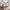 Classic Plus Husseng med Skuffe i Limet Fyrretræ i Flere Farver fra Raw Kids i farven Retro pink – fra Unique Beds, Home & Living