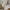 Coco Plus Husseng med Skuffe i Limet Fyrretræ fra Raw Kids – fra Unique Beds, Home & Living