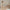 House Bello Plus Husseng med Skuffe i Limet Fyrretræ fra Raw Kids – fra Unique Beds, Home & Living