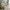 House Classic Plus Husseng med Skuffe i Limet Fyrretræ i Flere Farver fra Raw Kids i farven Pink – fra Unique Beds, Home & Living