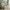 House Classic Plus Husseng med Skuffe i Limet Fyrretræ i Flere Farver fra Raw Kids i farven Cashmere – fra Unique Beds, Home & Living