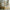 House Classic Plus Husseng med Skuffe i Limet Fyrretræ i Flere Farver fra Raw Kids i farven Klar lak – fra Unique Beds, Home & Living