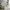 House Classic Plus Husseng med Skuffe i Limet Fyrretræ i Flere Farver fra Raw Kids i farven Hvid – fra Unique Beds, Home & Living