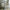 House Classic Plus Husseng med Skuffe i Limet Fyrretræ i Flere Farver fra Raw Kids i farven Grå – fra Unique Beds, Home & Living