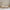 House Fello Husseng i Limet Fyrretræ fra Raw Kids – fra Unique Beds, Home & Living