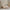 House Fello Husseng i Limet Fyrretræ fra Raw Kids – fra Unique Beds, Home & Living