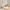 House Fello Husseng i Limet Fyrretræ fra Raw Kids – fra Unique Beds, Home & Living