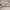 House Fello Husseng i Limet Fyrretræ fra Raw Kids – fra Unique Beds, Home & Living