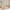House Fello Duo Plus Husseng med Midterindgang og Skuffe i Limet Fyrretræ fra Raw Kids – fra Unique Beds, Home & Living