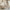 House Alto Husseng i Limet Fyrretræ fra Raw Kids – fra Unique Beds, Home & Living