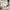 House Alto Husseng i Limet Fyrretræ fra Raw Kids – fra Unique Beds, Home & Living