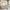 House Alto Husseng i Limet Fyrretræ fra Raw Kids – fra Unique Beds, Home & Living