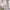 House Alto Duo Husseng med Midterindgang i Limet Fyrretræ i Flere Farver fra Raw Kids i farven Hvid – fra Unique Beds, Home & Living