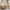 House Alto Duo Husseng med Midterindgang i Limet Fyrretræ i Flere Farver fra Raw Kids i farven Toffee – fra Unique Beds, Home & Living