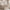House Alto Plus Husseng med Skuffe i Limet Fyrretræ i Flere Farver fra Raw Kids i farven Cashmere – fra Unique Beds, Home & Living