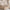 House Alto Plus Husseng med Skuffe i Limet Fyrretræ i Flere Farver fra Raw Kids i farven Klar lak – fra Unique Beds, Home & Living