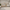 House Maxi Husseng i Limet Fyrretræ fra Raw Kids – fra Unique Beds, Home & Living