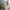 House Maxi Plus Husseng med Skuffe i Limet Fyrretræ fra Raw Kids – fra Unique Beds, Home & Living