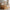 Husseng Plus med Hegn og Skuffe i Limet Fyrretræ i Flere Farver fra Raw Kids i farven Toffee – fra Unique Beds, Home & Living