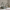 New House Bello Husseng i Limet Fyrretræ i Flere Farver fra Raw Kids i farven Skovgrøn – fra Unique Beds, Home & Living