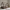 New House Bello Husseng i Limet Fyrretræ i Flere Farver fra Raw Kids i farven Mørk valnød – fra Unique Beds, Home & Living