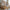 Pioli Plus Husseng med Skuffe i Limet Fyrretræ i Flere Farver fra Raw Kids i farven Toffee – fra Unique Beds, Home & Living