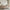 Verto Rungs Duo Børneseng med Midterindgang i Limet Fyrretræ i Flere Farver fra Raw Kids i farven Retro pink – fra Unique Beds, Home & Living