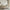 Verto Rungs Duo Børneseng med Midterindgang i Limet Fyrretræ i Flere Farver fra Raw Kids i farven Cashmere – fra Unique Beds, Home & Living