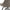 Eris Spisebordsstol Beige Stof Stel Sort
