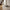 Fad i Smoked Grå Glas fra House Nordic | B30xL21xH1,5 cm