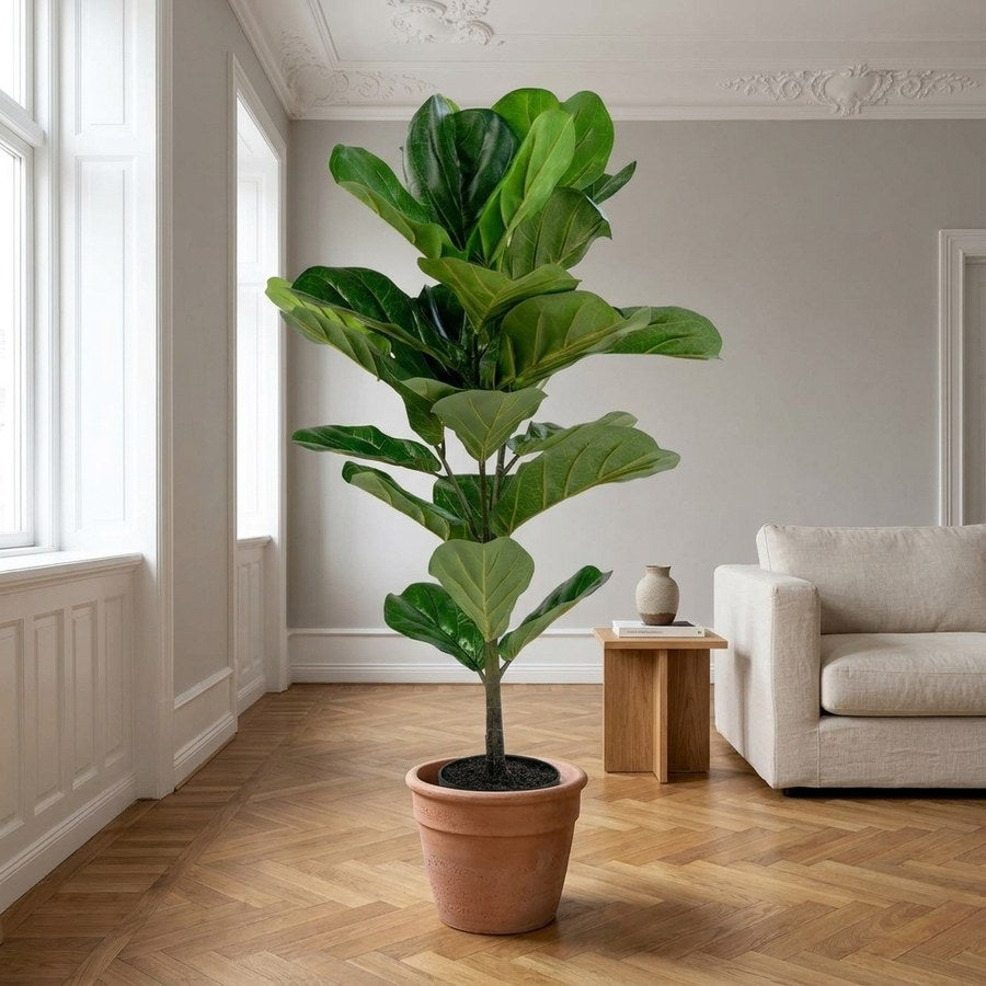Fiddle Violinfigen Kunstig Plante i Grøn PE Plastik fra House Nordic | B46xL36xH100 cm