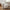 Galena Plaid i Hvid Imiteret Pels fra House Nordic | B130xL180xH1 cm