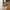 Getafe Spisebordsstol i Natur Sungkaitræ & Bananblade fra House Nordic | B58xL56xH78 cm