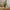 Græs Kunstig Plante i Grøn PE Plastik fra House Nordic | B51xL51xH45 cm